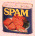 SPAM